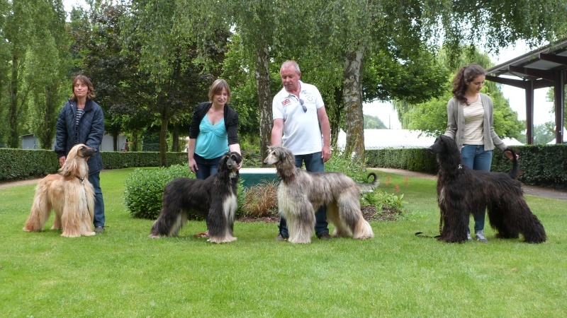 Lsp dolcevita de la Cour des Tamaris - RCACP - 2ème - Excellent - 45 pts - 11 partants