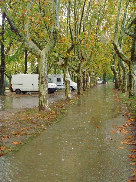 Lsp dolcevita de la Cour des Tamaris - 4ème Excellent - 24 pts - 7 partants.