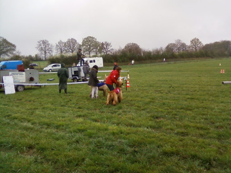 Lsp dolcevita de la Cour des Tamaris - 2ème Excellent - RCACP - 42 pts.