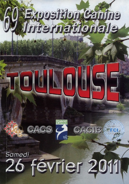 Lsp dolcevita de la Cour des Tamaris - 2ème Excellent - classe Ouverte.