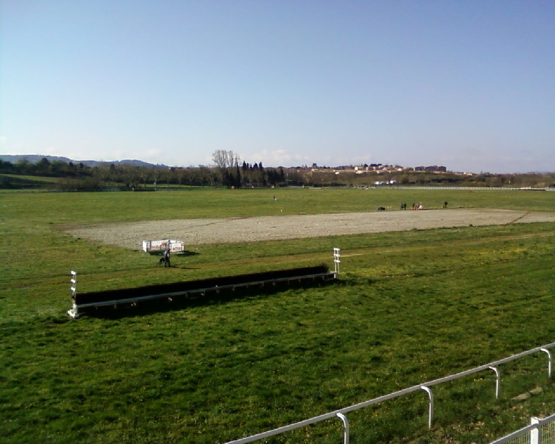 Lsp dolcevita de la Cour des Tamaris - 1er Excellent - 33 pts.