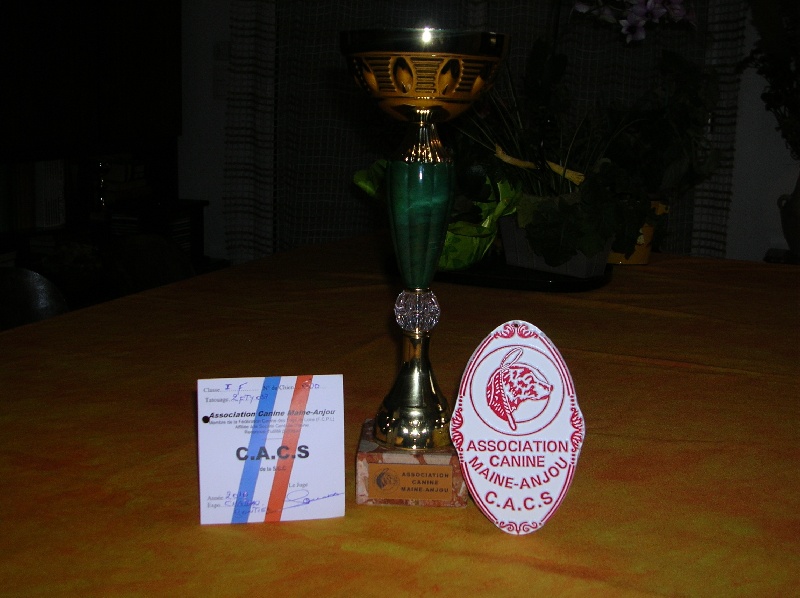 Daloo ben sister's Des Rossolis De Kerwall - CACS 1ERE EXCELLENTE