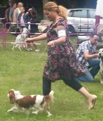 It's hope of b-and-b De vaudival