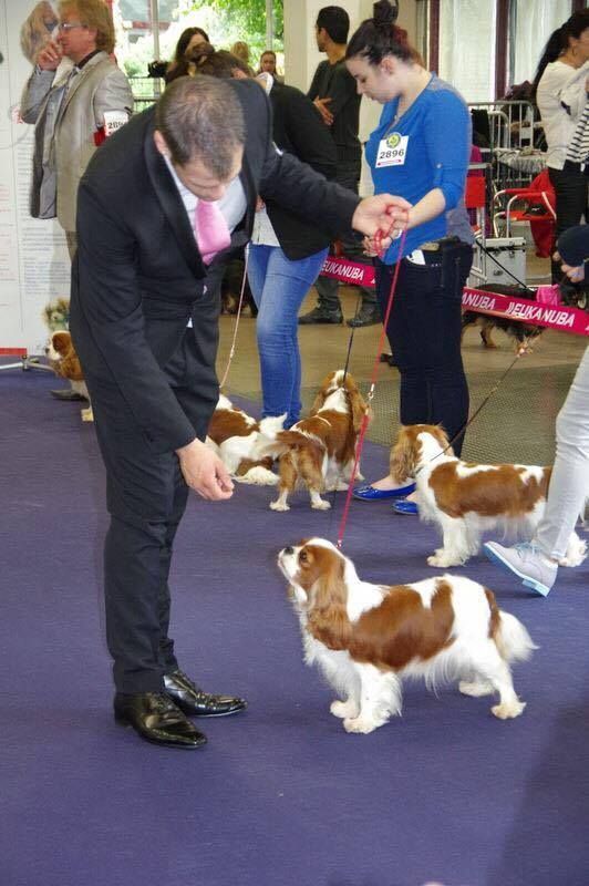 It's hope of b-and-b De vaudival