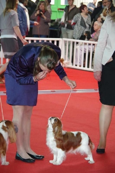 It's hope of b-and-b De vaudival - 3 iéme Excellent