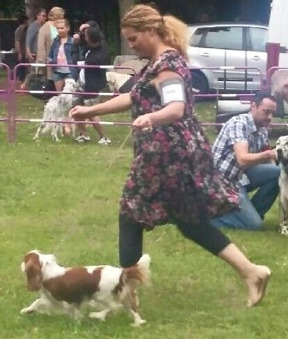 It's hope of b-and-b De vaudival - 1 Excellent - CACS - BOS