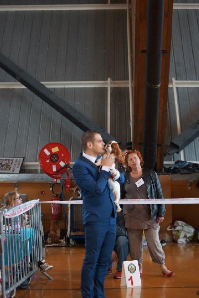 It's hope of b-and-b De vaudival - 1 Excellent - CACS - RCACIB