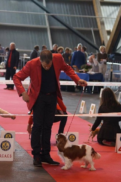 It's hope of b-and-b De vaudival - 1 Excellent - RCACS