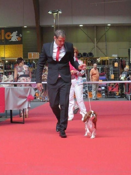 It's hope of b-and-b De vaudival - RCACS et RCACIB