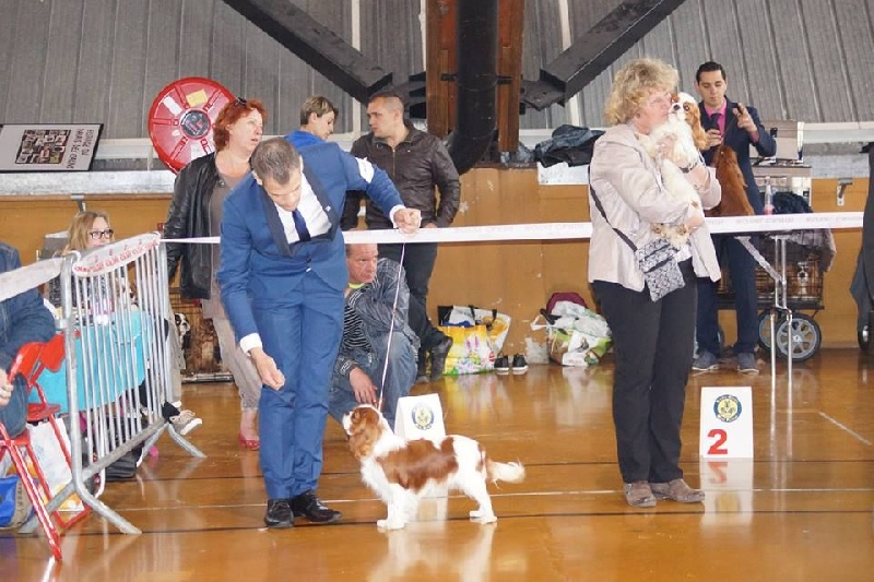 It's hope of b-and-b De vaudival - 1 Excellent - RCACS