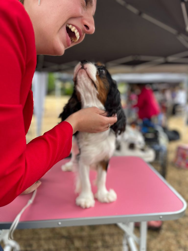 Velvet blue des Jardins de Bagatelle - 4e Ex CJ