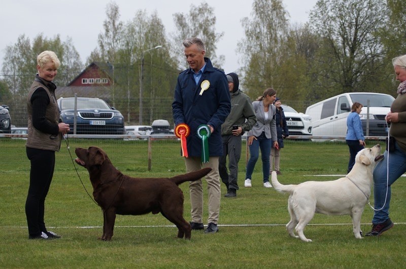 Publication : De La Brie Des Etangs