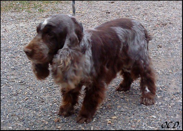 Publication : Of Enjoy's Paradise Auteur : Of Enjoy's Paradise.