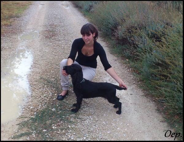 Publication : Of Enjoy's Paradise Auteur : Of Enjoy's Paradise.