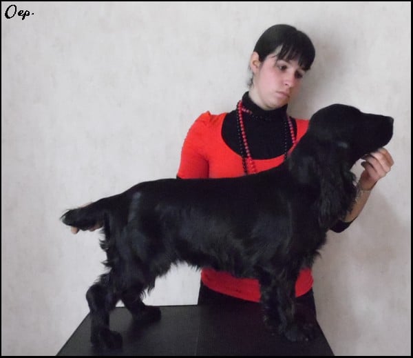 Publication : Of Enjoy's Paradise Auteur : Of Enjoy's Paradise.