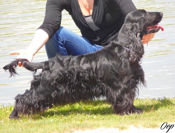 Publication : Of Enjoy's Paradise Auteur : Of Enjoy's Paradise.