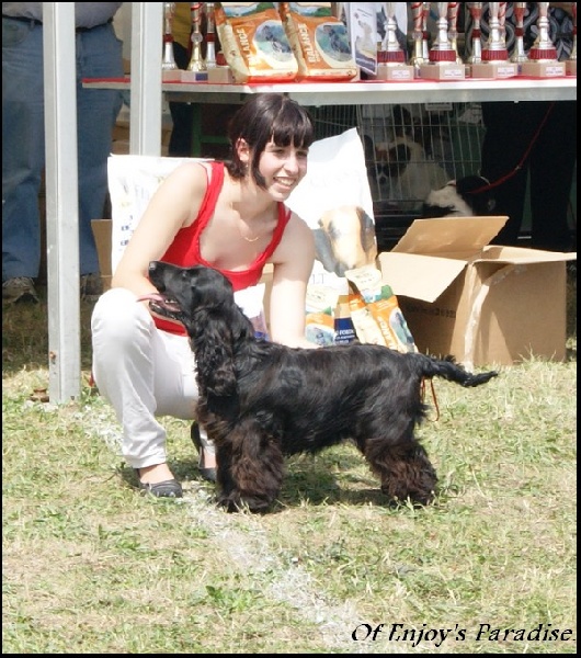 Fuzi dite thaïs of caniland's dream - Très Prometteur - Meilleur Puppy