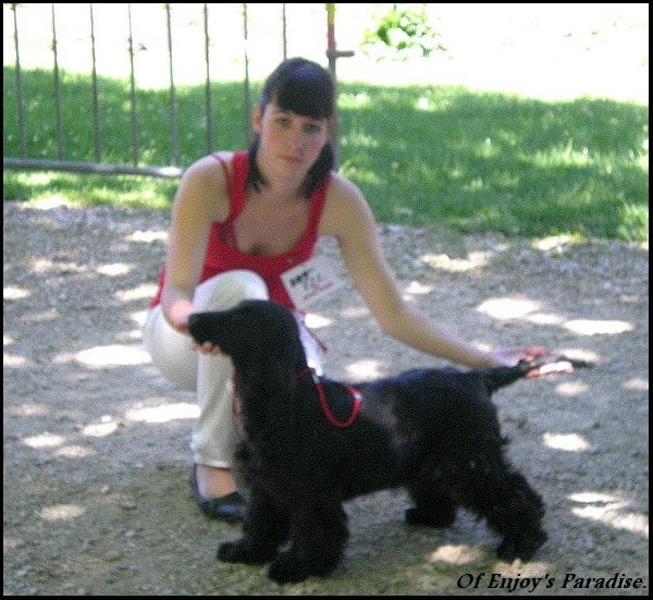 Fuzi dite thaïs of caniland's dream - Très Prometteur - Meilleur Puppy