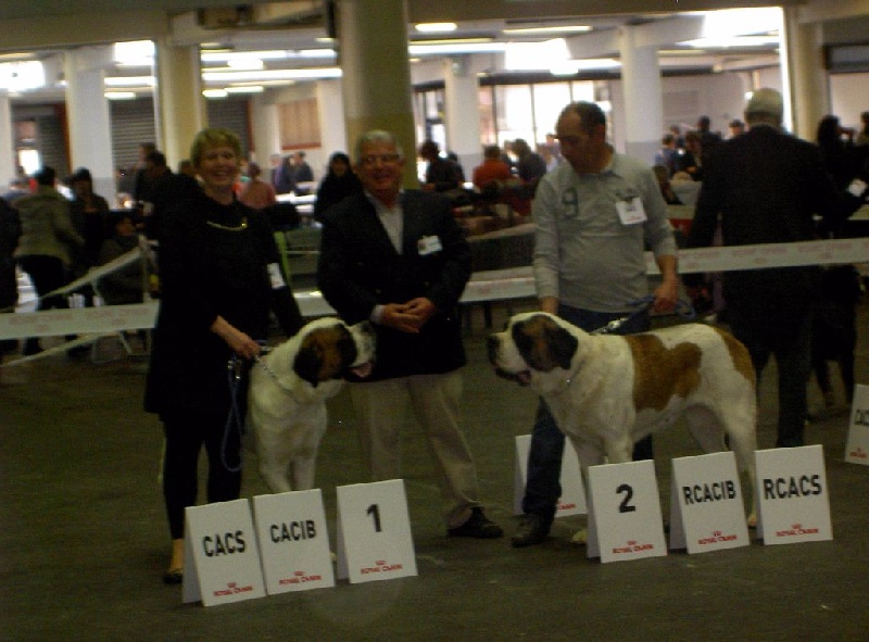 Haarmonny du val de morakopf - 2e excellent + RCACS+RCACIB