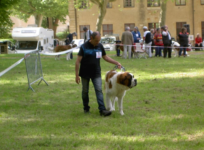 Iace Des Edelweiss Savoyardes - excellent