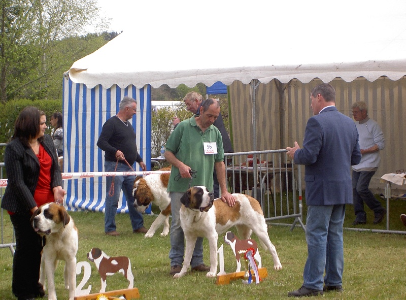 Haarmonny du val de morakopf - 1er excellent
