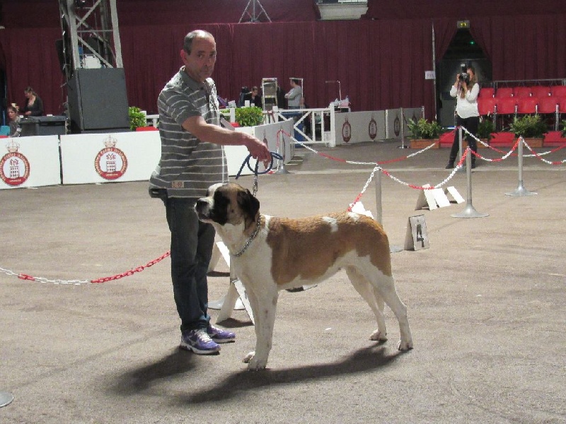 Iace Des Edelweiss Savoyardes - 1er excellent