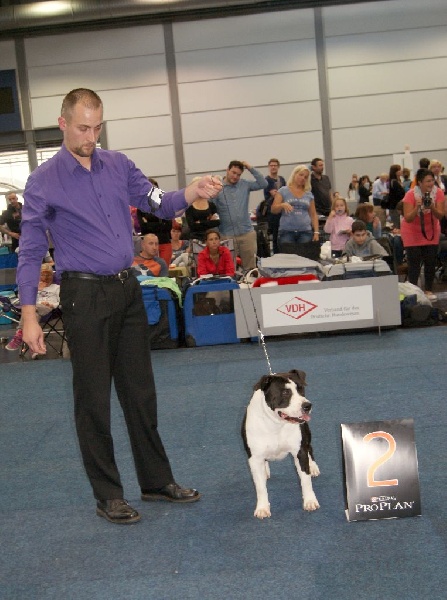 CH. Grover white rock edition of Etmop's - 2ème Excellent RCAC