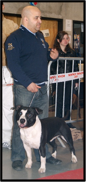 CH. Grover white rock edition of Etmop's - 2ème Excellent en classe Intermédiaire Mâle