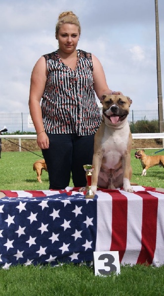 Iron red rock skillet De L'empreinte De Dzeus - 3ème Excellent en classe jeune mâle / 11