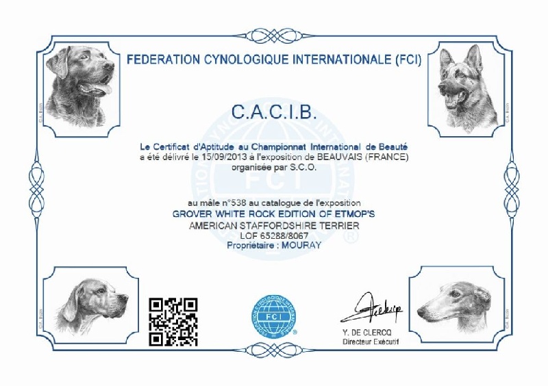 CH. Grover white rock edition of Etmop's - 1er Excellent en classe champion mâle + CACIB