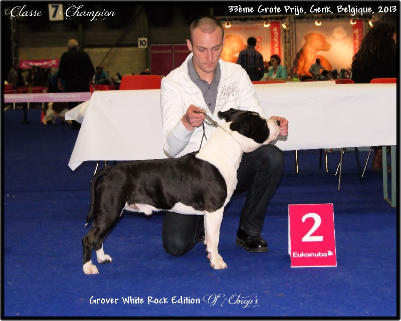 CH. Grover white rock edition of Etmop's - 2ème Excellent en Classe Champion Mâle