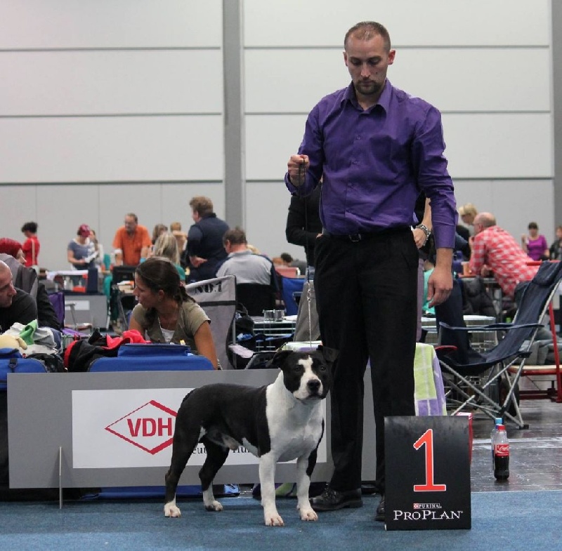 CH. Grover white rock edition of Etmop's - 1er Excellent CAC