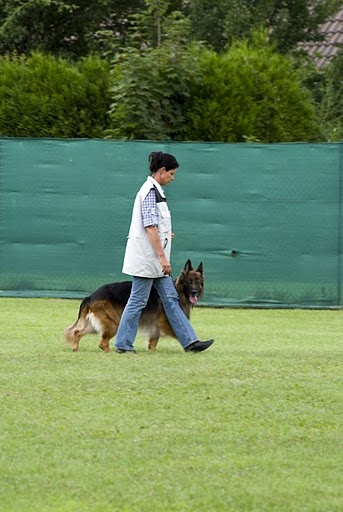 CH. Bacchus du domaine de la Vareze - BREVET RING (96.70/100)