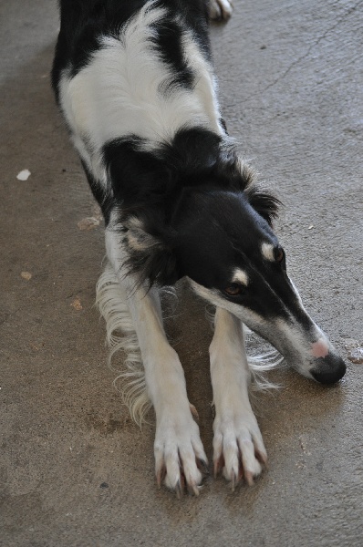 Publication : Domaine De Lenjon Auteur : Mme cavaillés