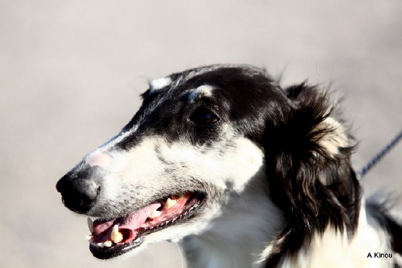 Publication : Domaine De Lenjon Auteur : Mme cavaillés