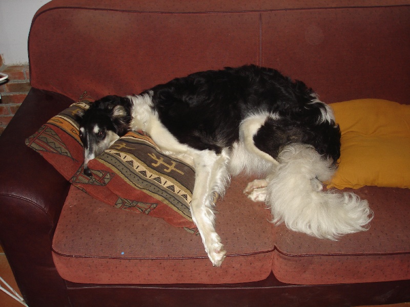 Publication : Domaine De Lenjon Auteur : Mme cavaillés