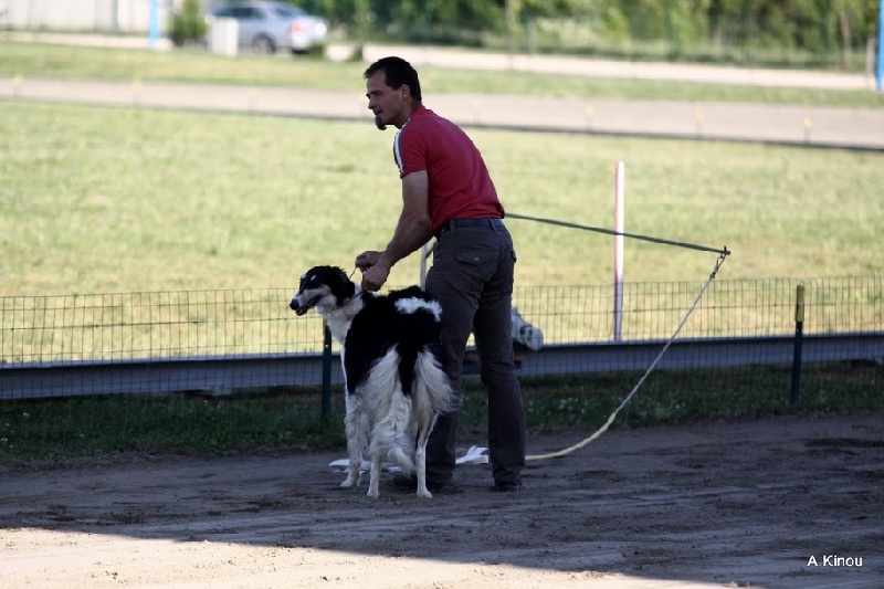 Publication : Domaine De Lenjon Auteur : Mme cavaillés