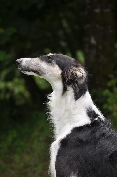 Publication : Domaine De Lenjon Auteur : Mme cavaillés