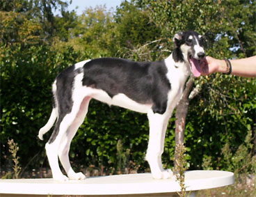 Publication : Domaine De Lenjon Auteur : Mme cavaillés