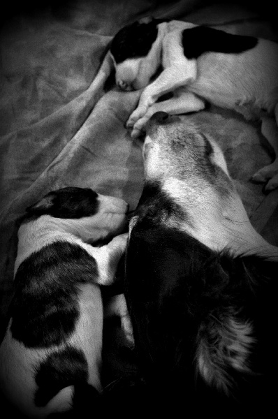 Publication : Domaine De Lenjon Auteur : Mme cavaillés