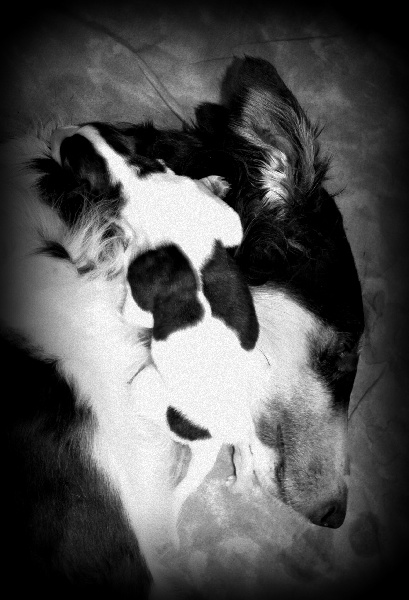 Publication : Domaine De Lenjon Auteur : Mme cavaillés