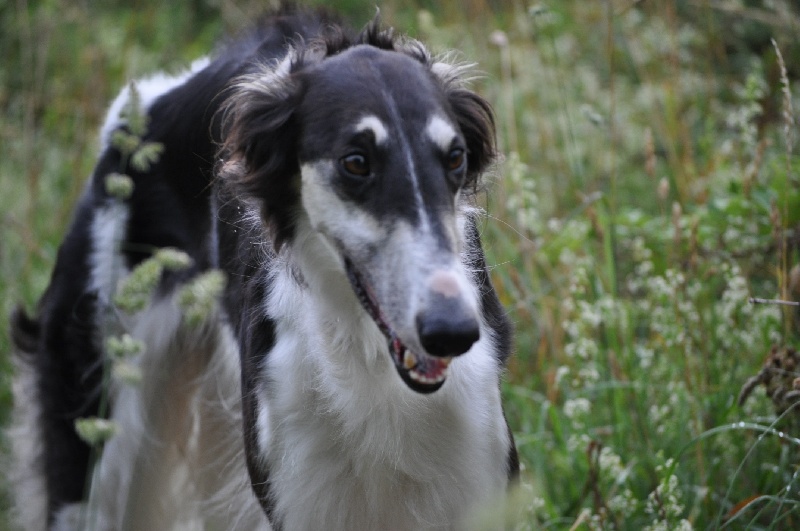 Publication : Domaine De Lenjon Auteur : Mme cavaillés
