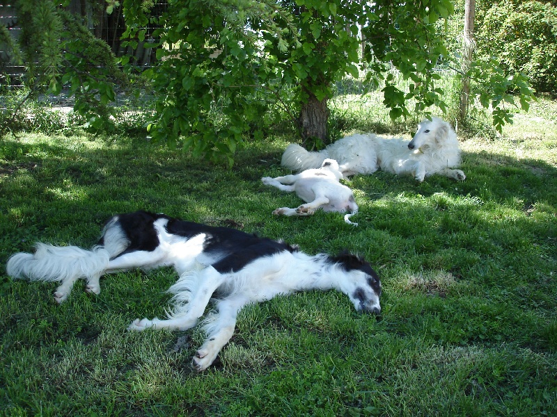 Publication : Domaine De Lenjon Auteur : Mme cavaillés