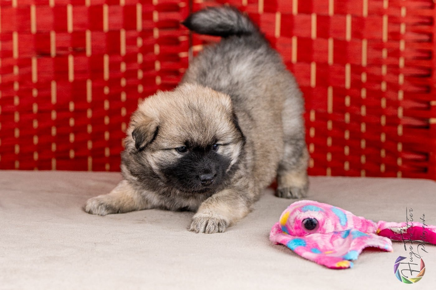 Ashtaroth Des Délices De Beltaine