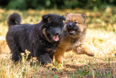 Des Délices De Beltaine