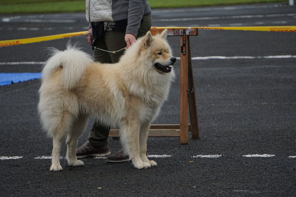 X'tra xiaomi av nixenspitze - 2° excellent classe ouverte