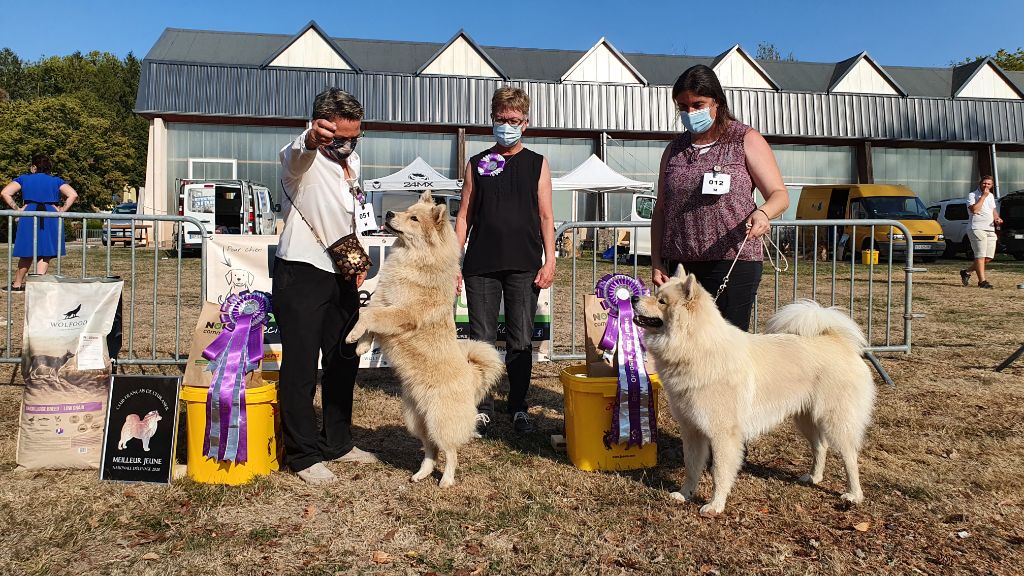 X'tra xiaomi av nixenspitze - 1er excellent BOS jeune 3° Mâle