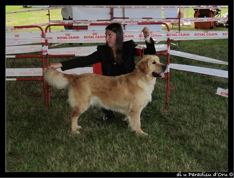 Publication : di u Paradisu d'Oru Auteur : di u Paradisu d'Oru