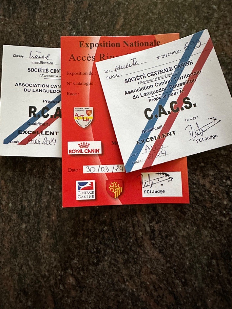 Rosaly de Chantemelse - 2 eme EXCELLENT