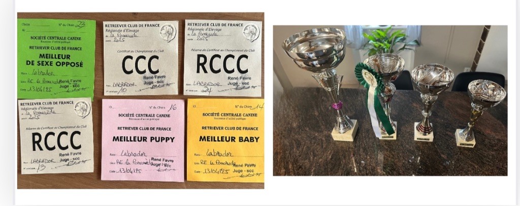 Uby by romy Du Pomayrol - 2 eme EXCELLENT - RCC -